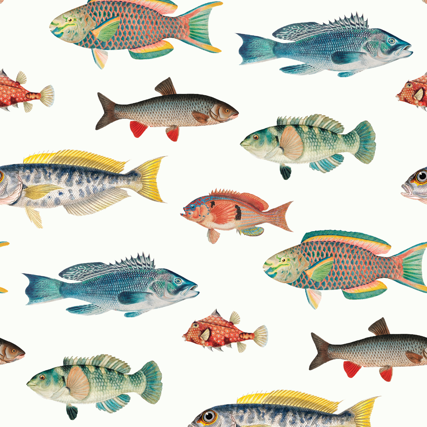 Ocean Fish Wallpaper
