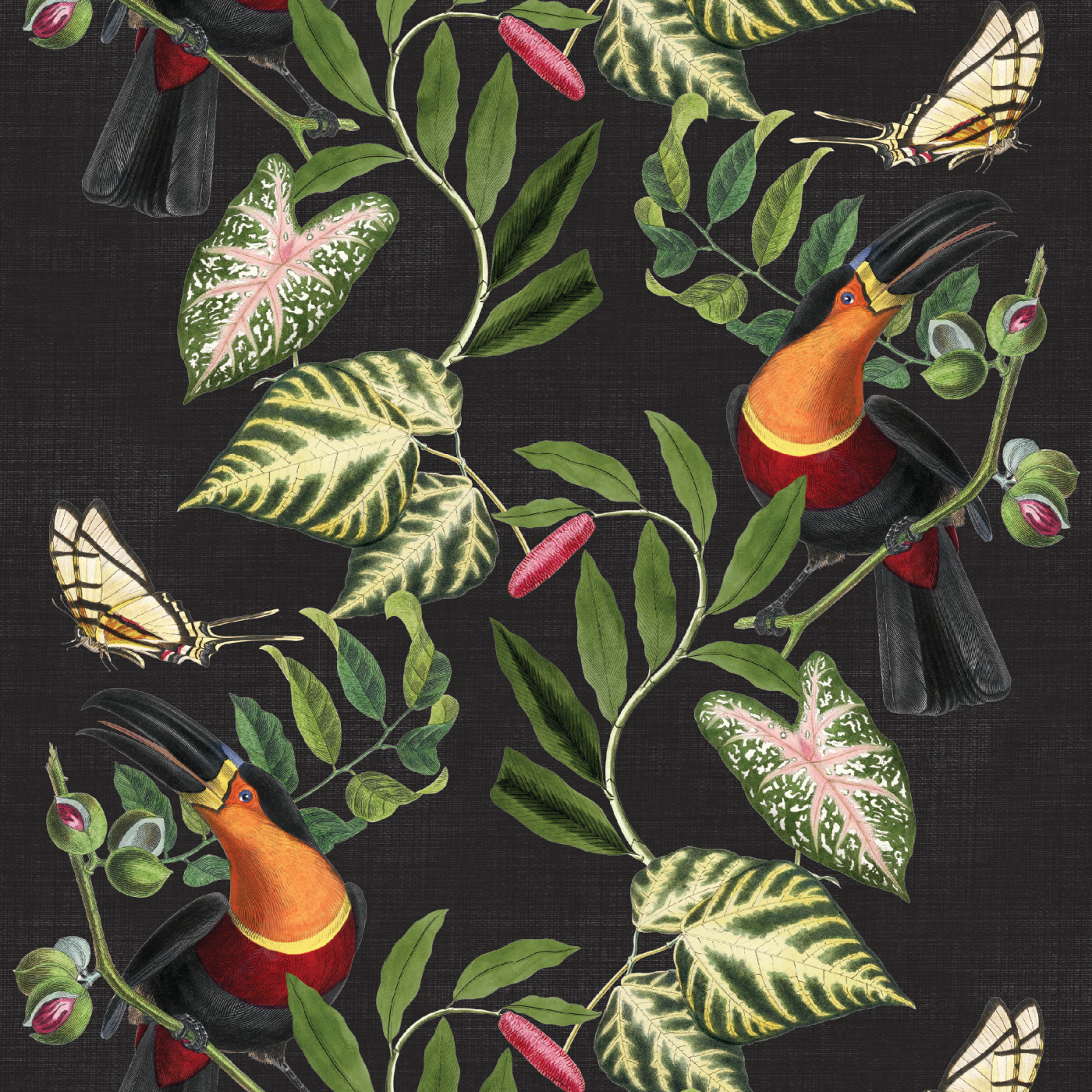 Toucan Tropics Wallpaper