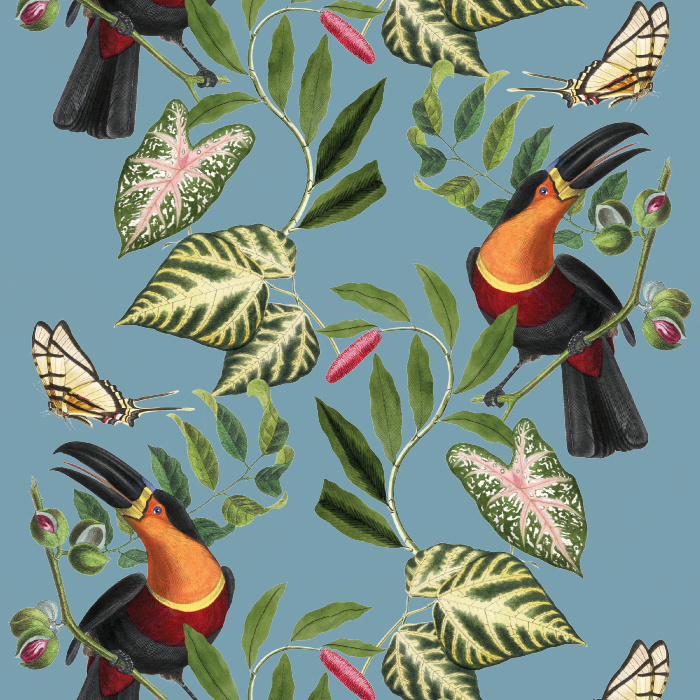 Create a space that's all you with our Toucan Tropics Peel and Stick Wallpaper.