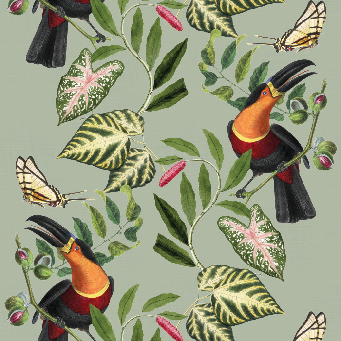 Create a space that's all you with our Toucan Tropics Peel and Stick Wallpaper.