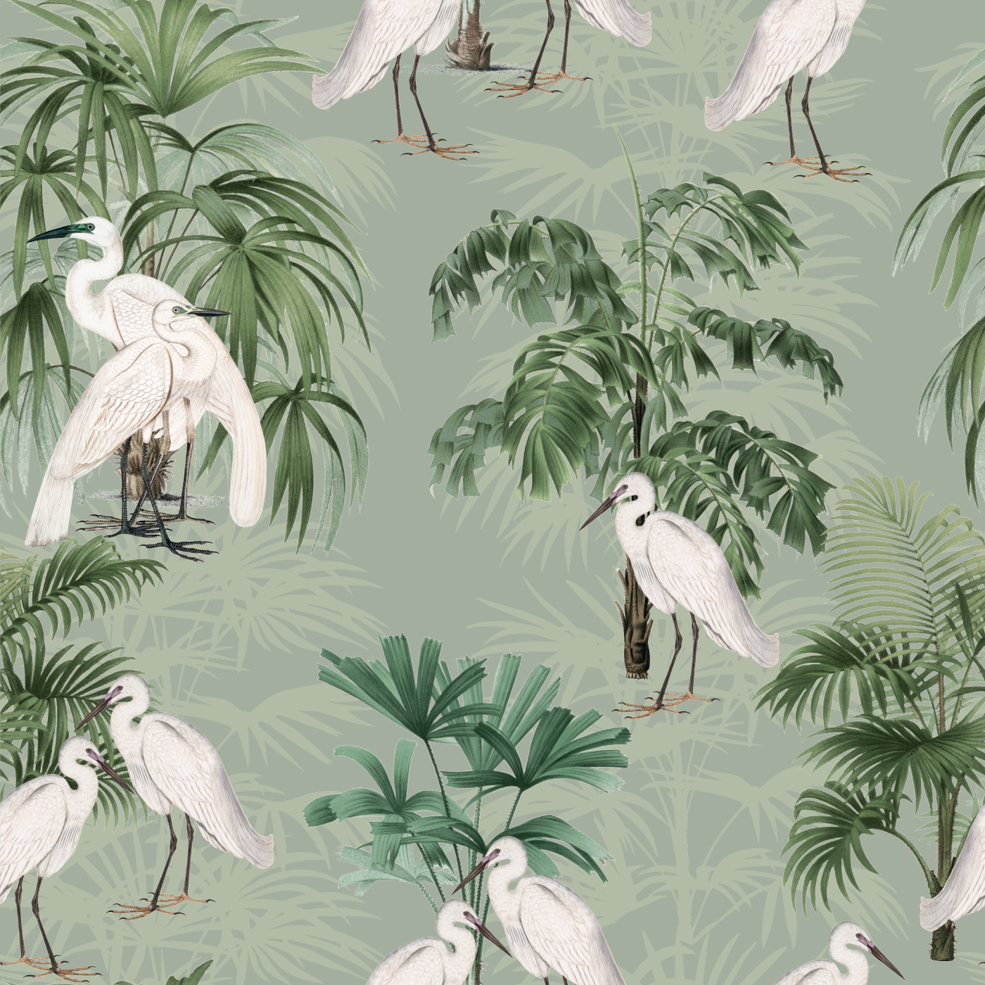 White Herons Wallpaper