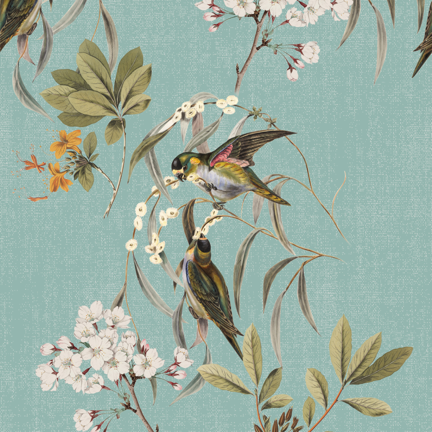 Bird Botanical Wallpaper