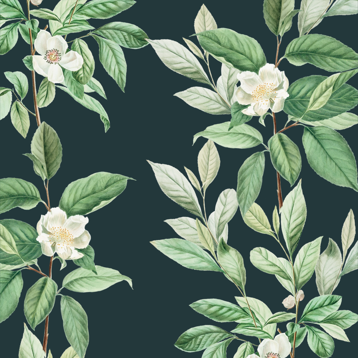 Magnolia Blooms Peel and Stick Wallpaper Love vs. Design