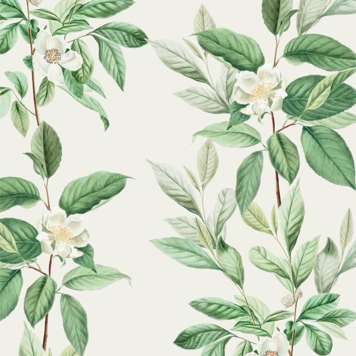 Our Magnolia Blooms Peel and Stick Wallpaper is sure to add a classic touch of nature to any wall in your home.
