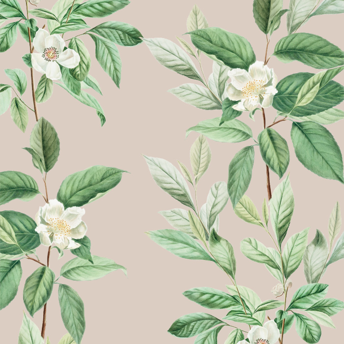 Our Magnolia Blooms Peel and Stick Wallpaper is sure to add a classic touch of nature to any wall in your home.