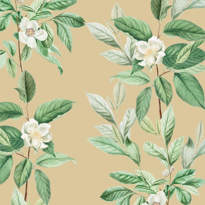 Our Magnolia Blooms Peel and Stick Wallpaper is sure to add a classic touch of nature to any wall in your home.