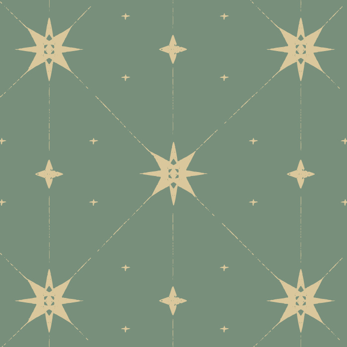 Transform your home with our Mystic Starlight Peel and Stick Wallpaper.