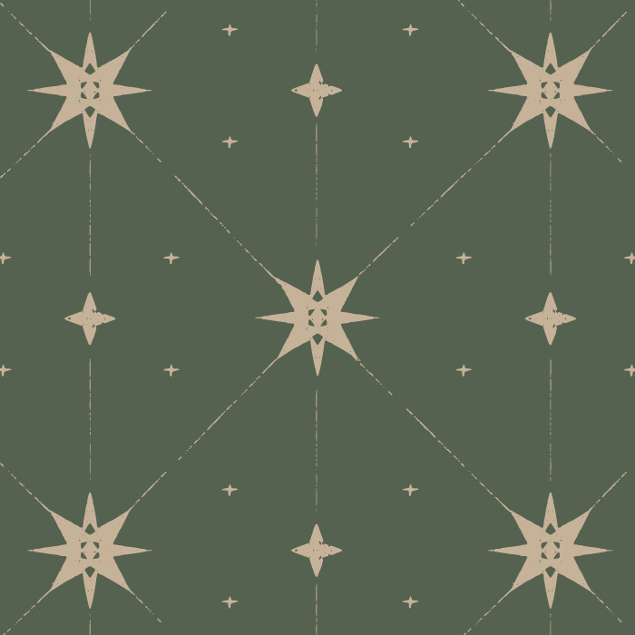 Transform your home with our Mystic Starlight Peel and Stick Wallpaper.