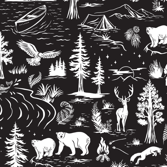 Bring the excitement of the great outdoors into your home with our Wilderness Adventure Wallpaper.
