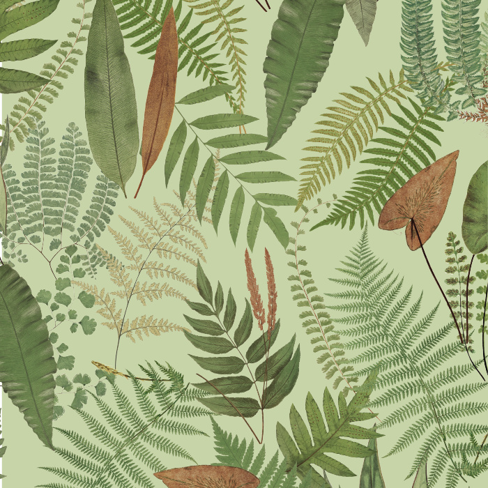 Bring the beauty of nature into your home with our Classic Fernology Peel and Stick Wallpaper. 