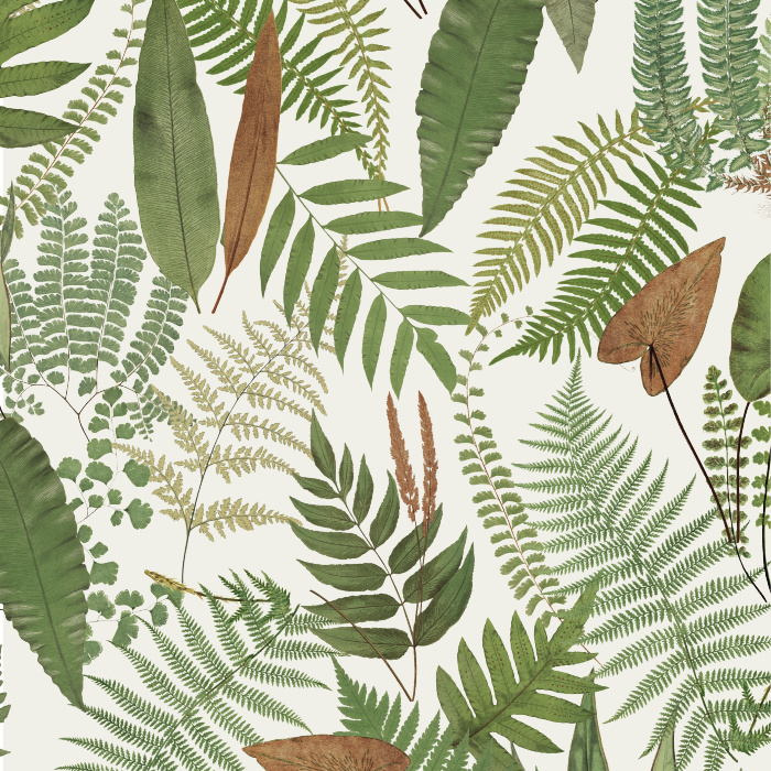 Bring the beauty of nature into your home with our Classic Fernology Peel and Stick Wallpaper. 