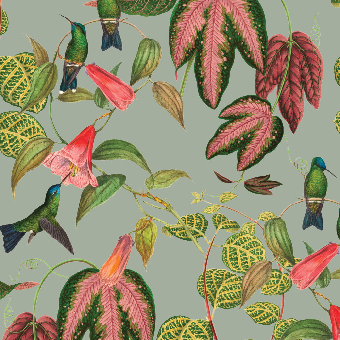 Create a stunning space with our Exotic Hummingbird Peel and Stick Removable Wallpaper.