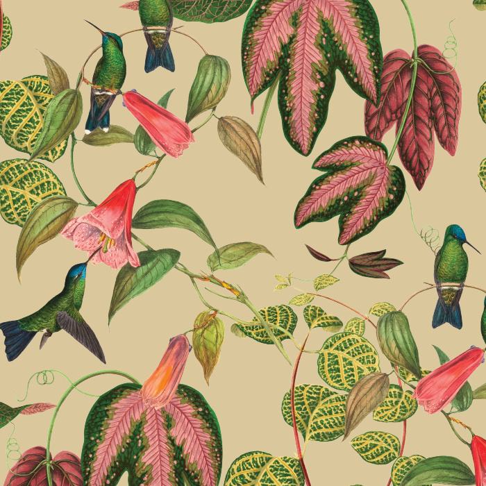 Create a stunning space with our Exotic Hummingbird Peel and Stick Removable Wallpaper.