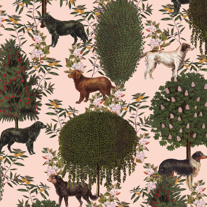 Create a perfectly luxurious space that fits your personality with our Vintage Pet Garden Wallpaper.
