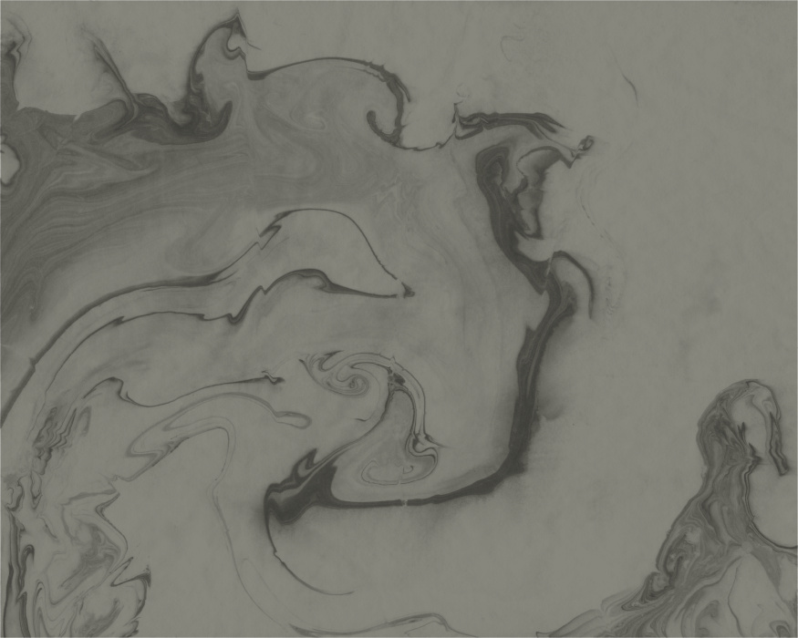 Transform your space with this mesmerizing Abstract Ink Mural, where fluid swirls and organic textures create a soothing yet sophisticated atmosphere.