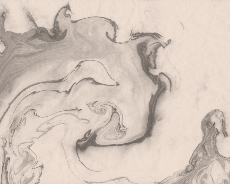 Transform your space with this mesmerizing Abstract Ink Mural, where fluid swirls and organic textures create a soothing yet sophisticated atmosphere.