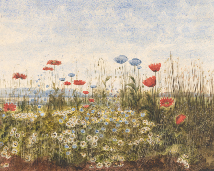 Add a vibrant nature vibe to any room in your home with our Wildflower Prairie Photo Mural.