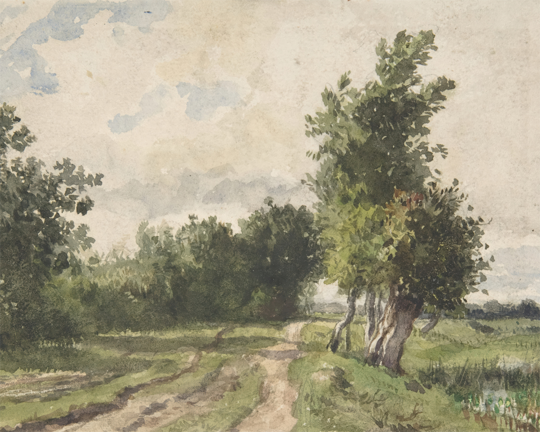 Nature Stroll Photo Mural