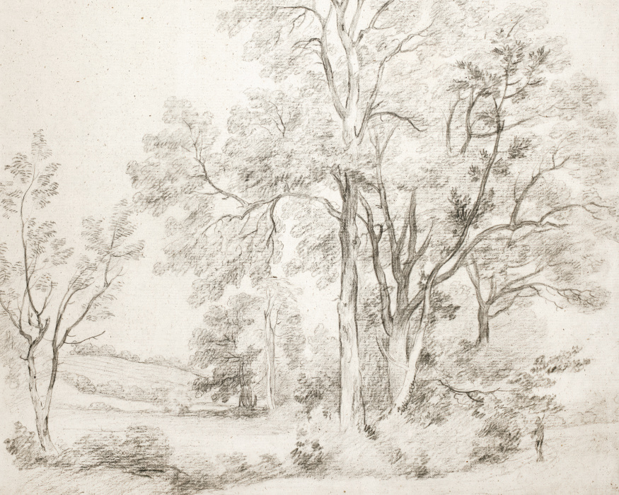 Bring your imagination to life with our Sketched Trees Peel & Stick Photo Mural.