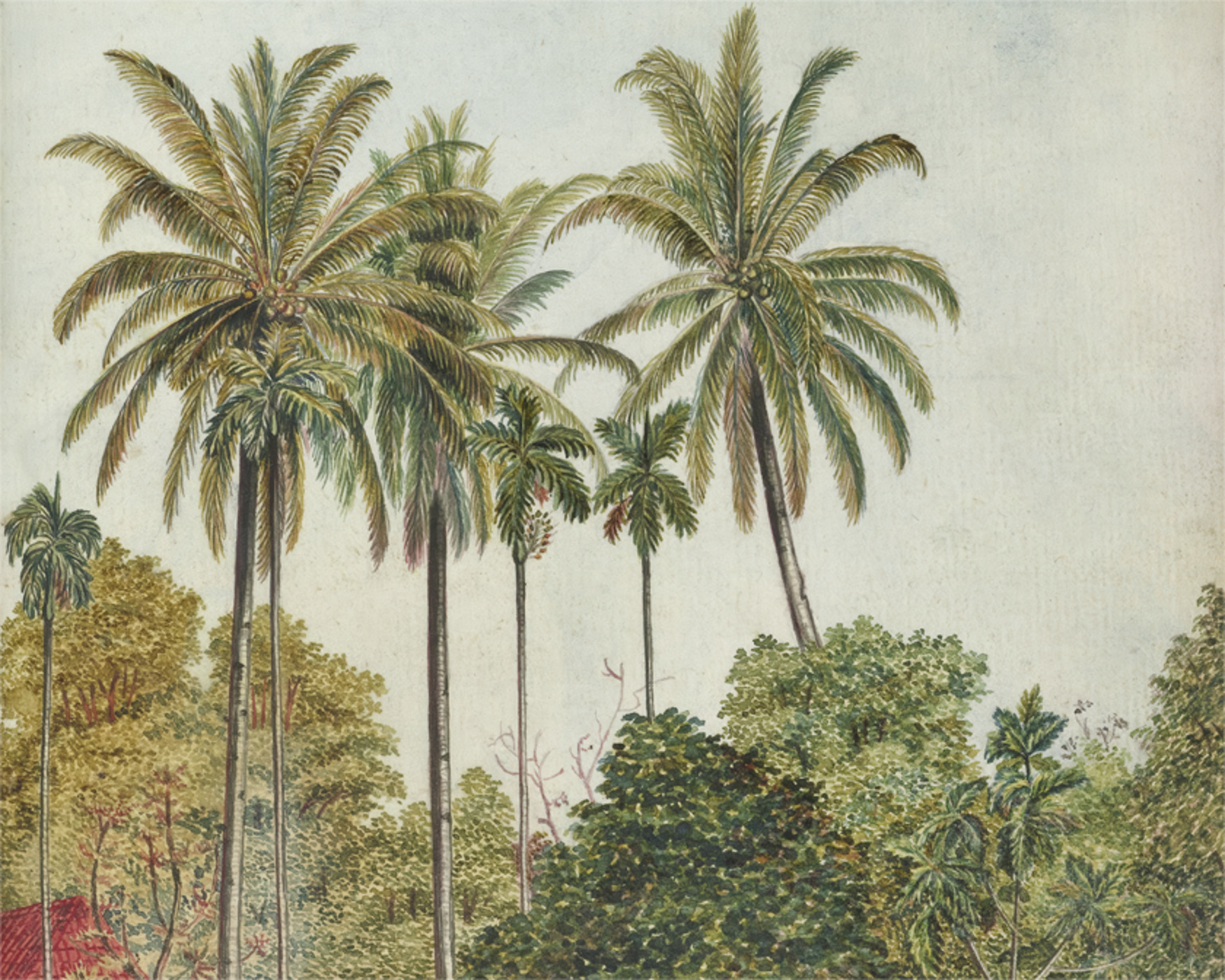 Antique Palms Photo Mural