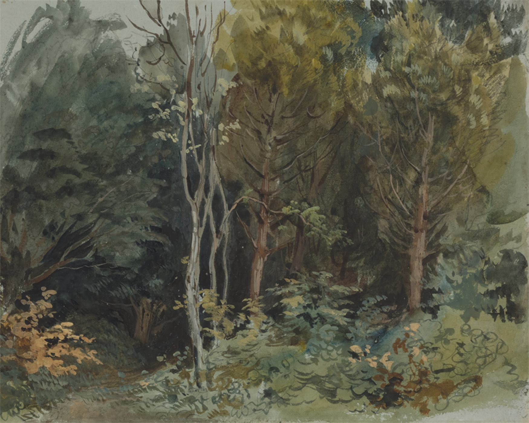 Forest Edge Photo Mural