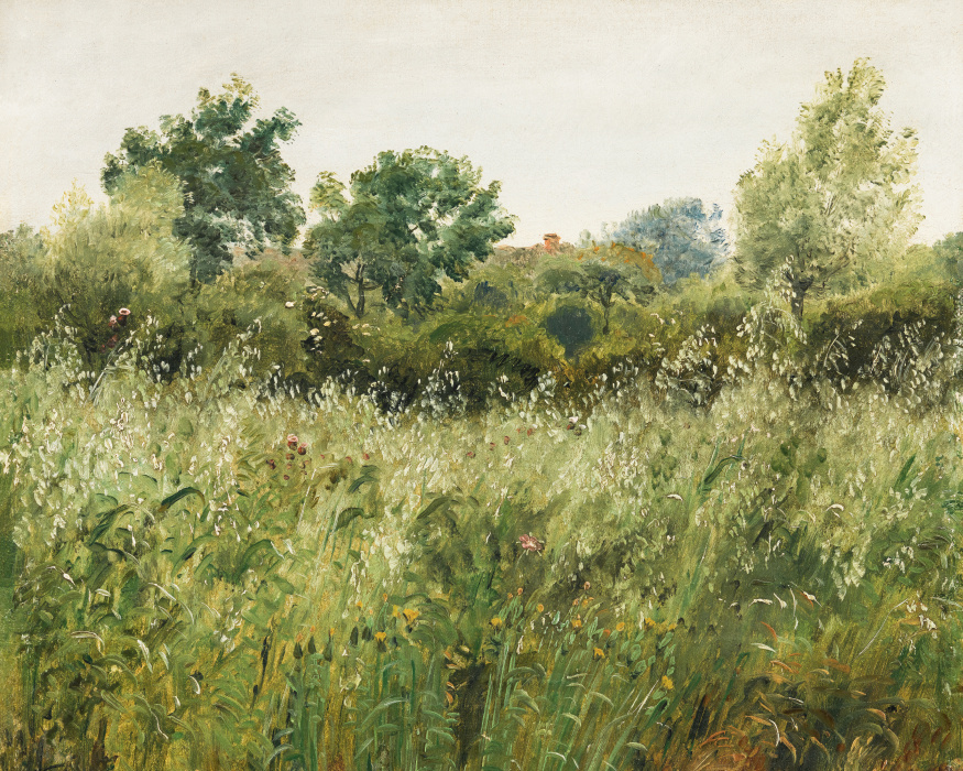 Bring the serene beauty of nature into your home with our Field of Oats Photo Mural.