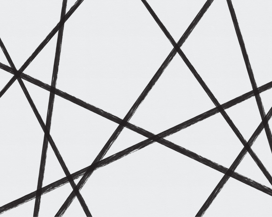 Add an expressive and artistic touch to any wall in your home with our Apex Lines Mural.