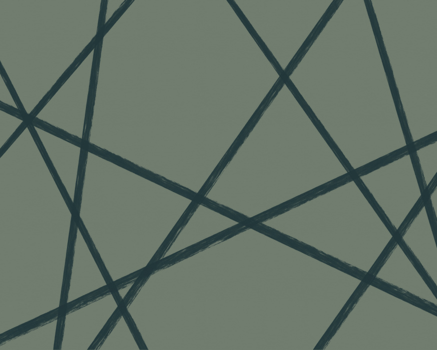 Add an expressive and artistic touch to any wall in your home with our Apex Lines Mural.