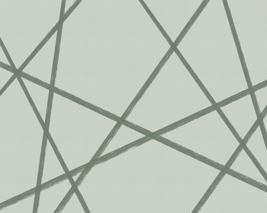 Add an expressive and artistic touch to any wall in your home with our Apex Lines Mural.