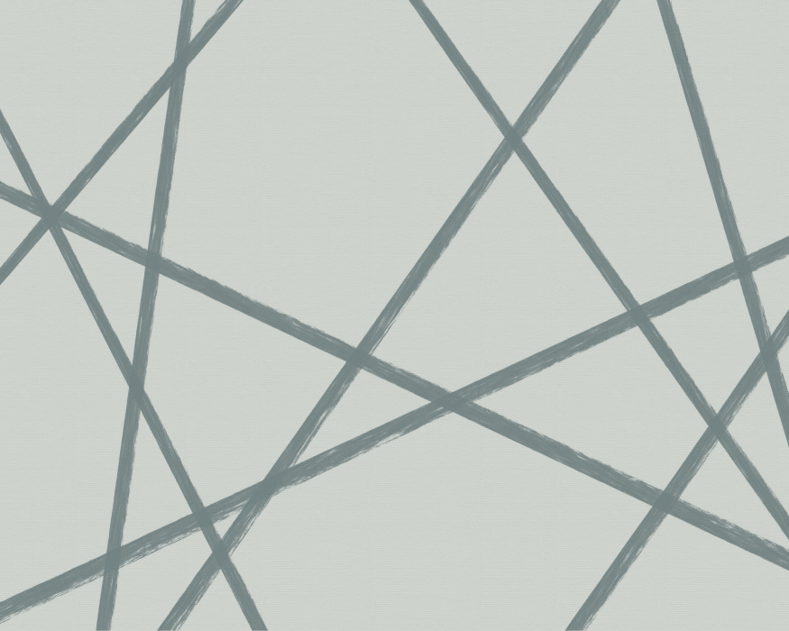 Add an expressive and artistic touch to any wall in your home with our Apex Lines Mural.