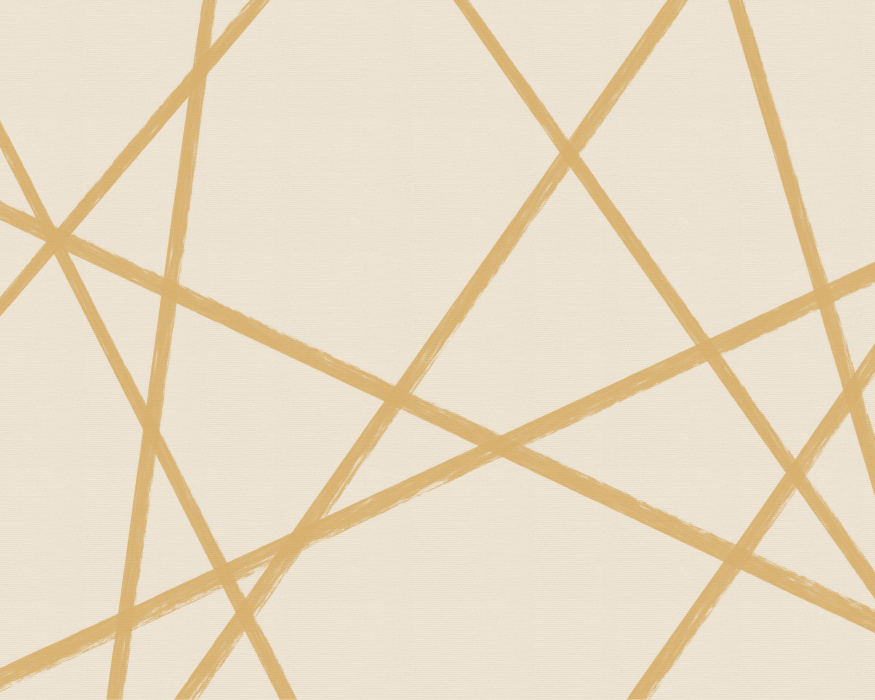 Add an expressive and artistic touch to any wall in your home with our Apex Lines Mural.