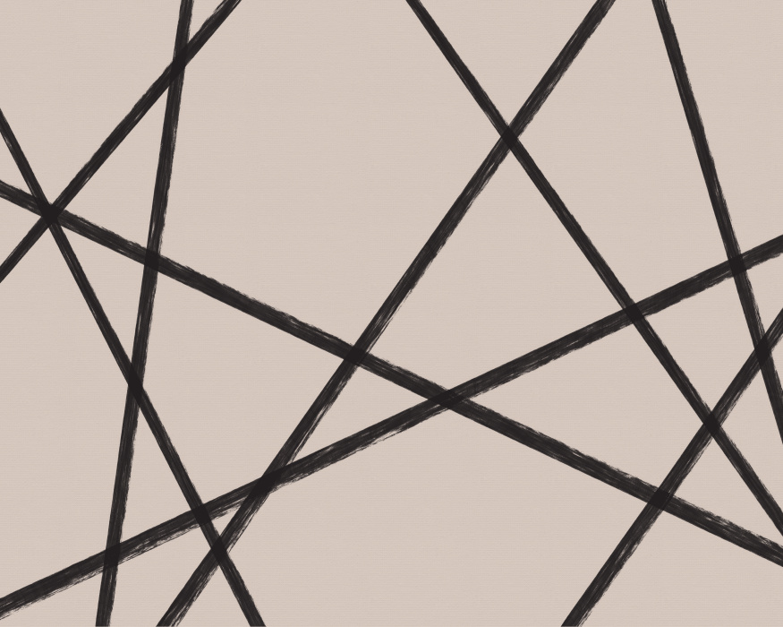 Add an expressive and artistic touch to any wall in your home with our Apex Lines Mural.