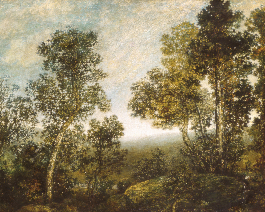 Transform your home with our Rustic Trees Peel & Stick Photo Mural.