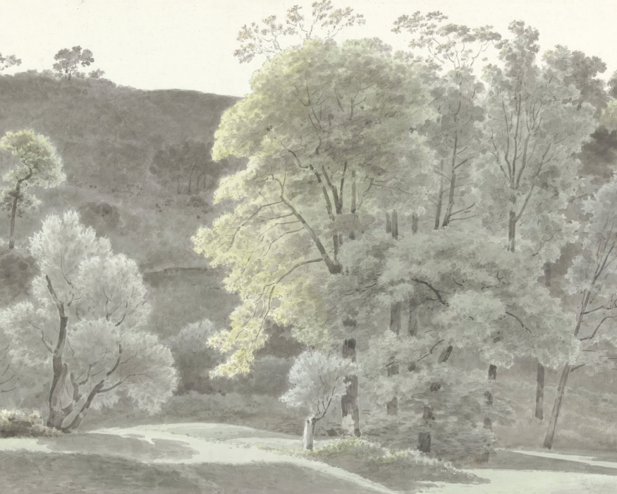 Incorporate this gentle landscape into your interior design with our Summer Forest Peel and Stick Photo Mural.