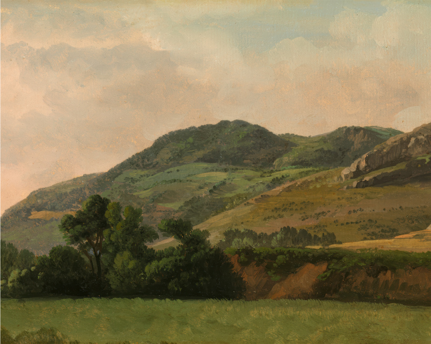 Bring a breathtaking view of the Italian countryside to your wall with our Mountainous Landscape Photo Mural.