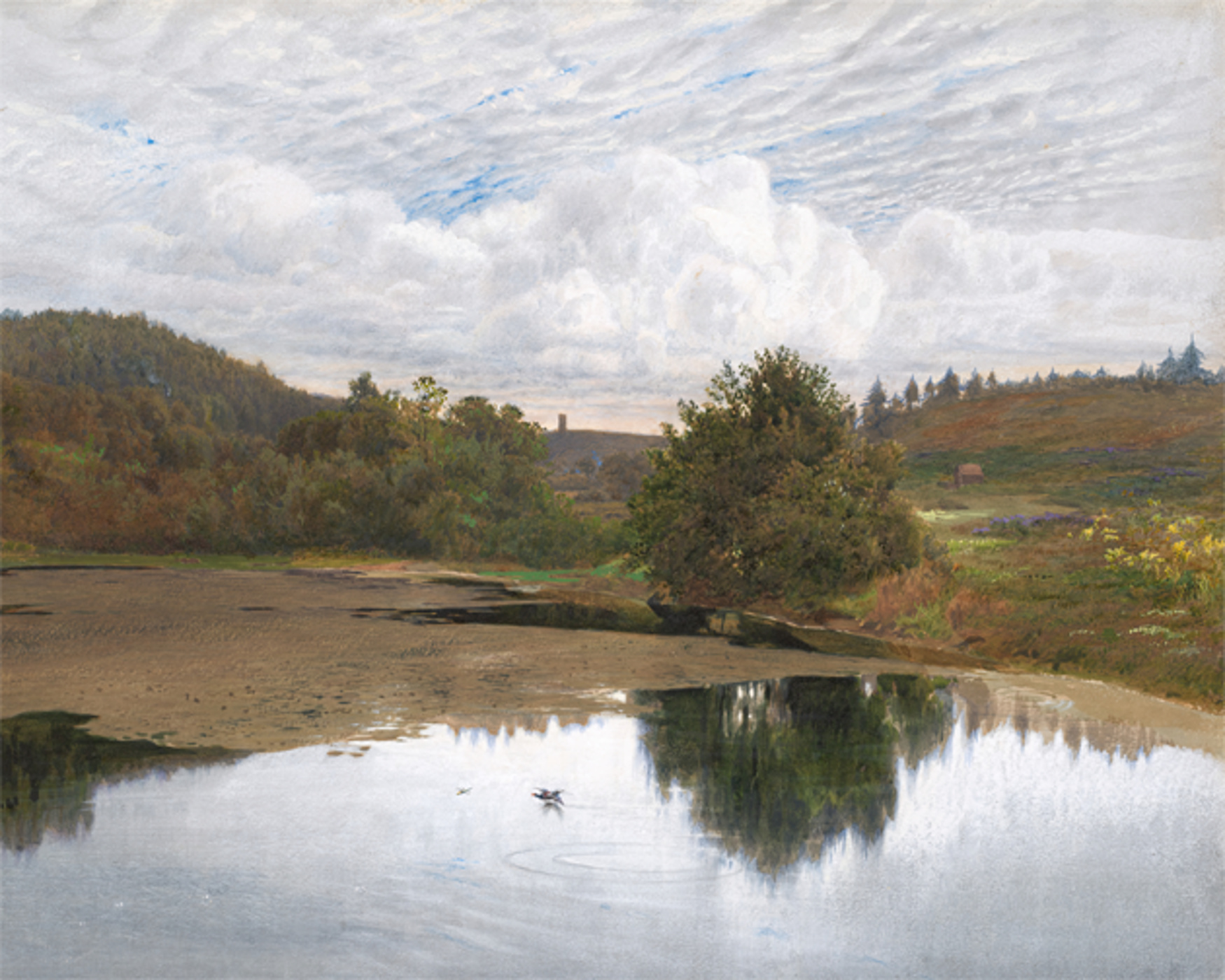 Lake Meadow Photo Mural