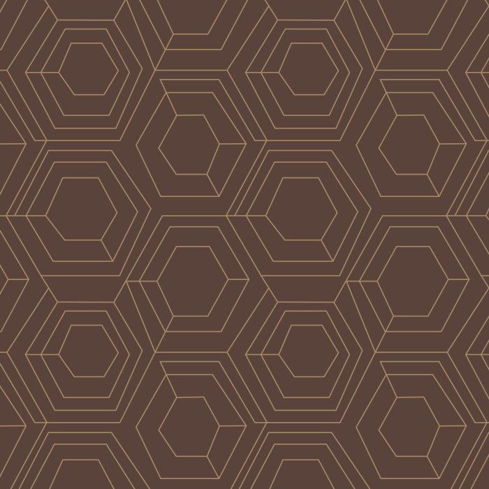 Our Hexagon Web Peel And Stick Removable Wallpaper brings an abstract accent anywhere in your home.