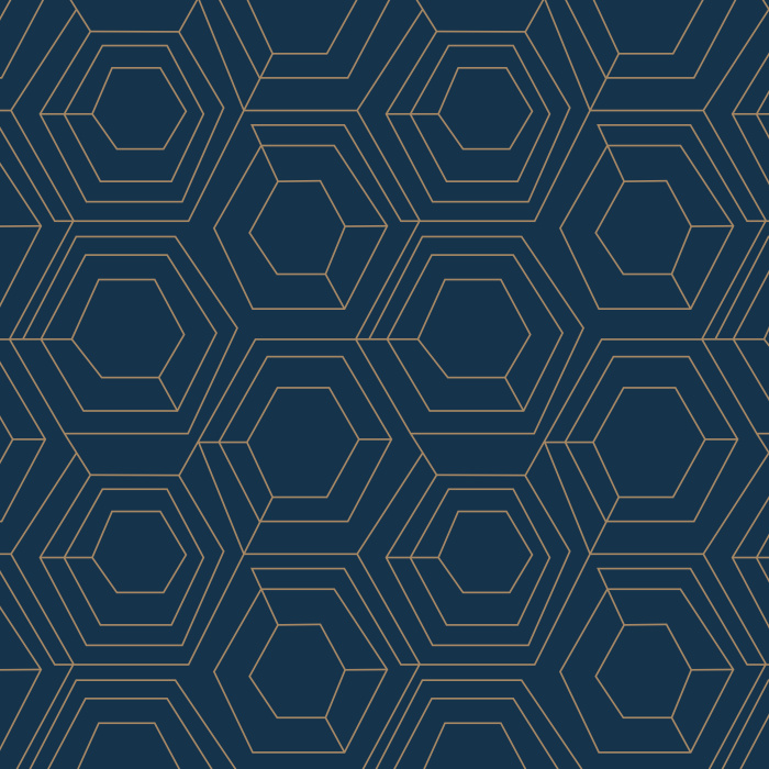 Our Hexagon Web Peel And Stick Removable Wallpaper brings an abstract accent anywhere in your home.