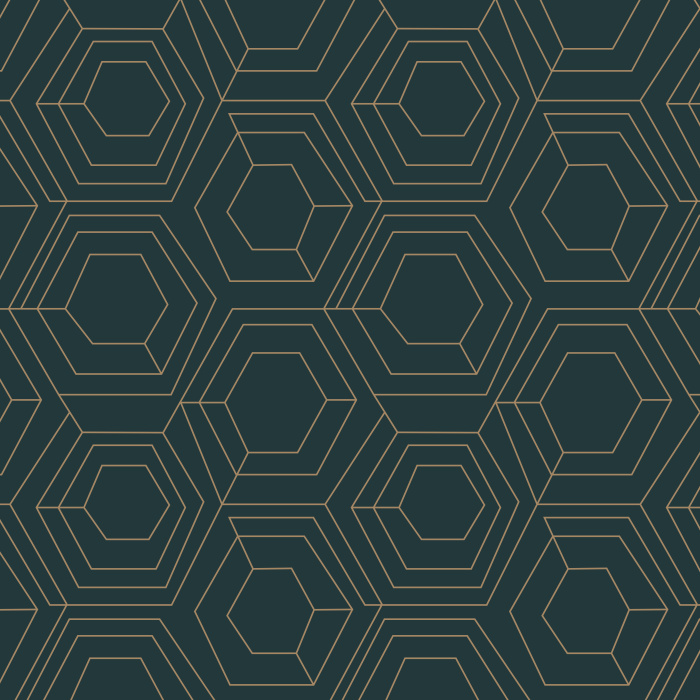 Our Hexagon Web Peel And Stick Removable Wallpaper brings an abstract accent anywhere in your home.