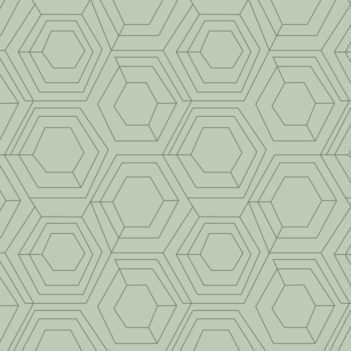 Our Hexagon Web Peel And Stick Removable Wallpaper brings an abstract accent anywhere in your home.
