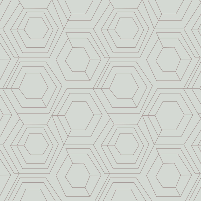 Our Hexagon Web Peel And Stick Removable Wallpaper brings an abstract accent anywhere in your home.