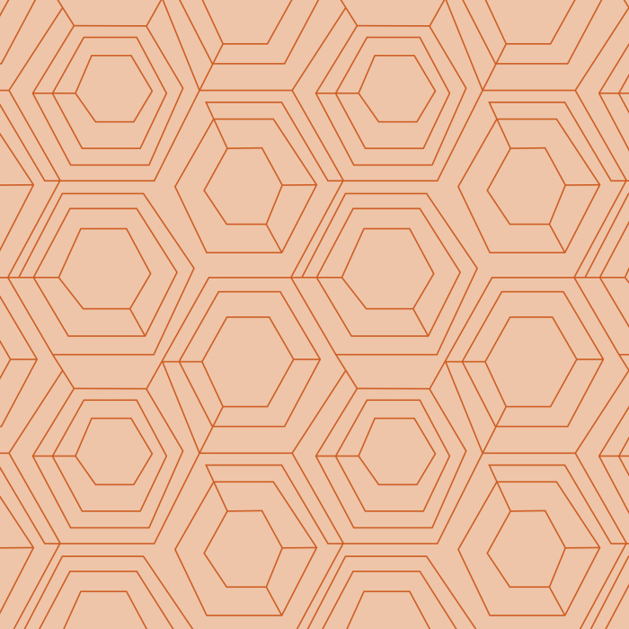 Our Hexagon Web Peel And Stick Removable Wallpaper brings an abstract accent anywhere in your home.