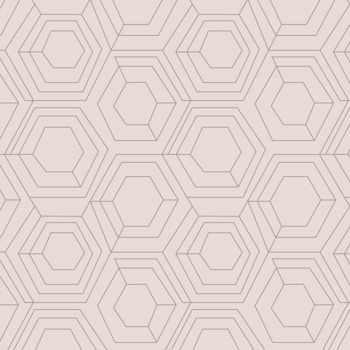 Our Hexagon Web Peel And Stick Removable Wallpaper brings an abstract accent anywhere in your home.