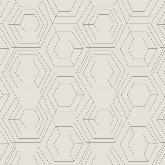 Our Hexagon Web Peel And Stick Removable Wallpaper brings an abstract accent anywhere in your home.