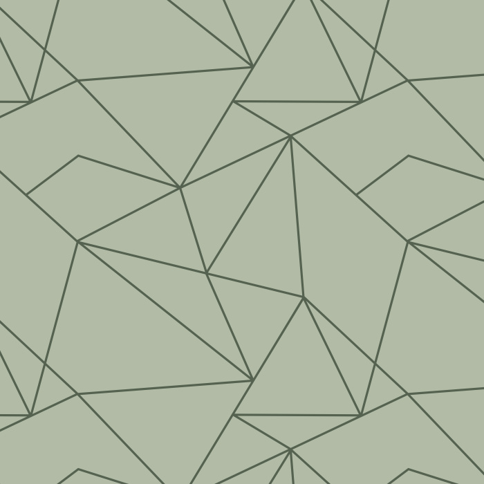Add a little spice to your interior with our Angular Outline Peel and Stick Removable Wallpaper. 