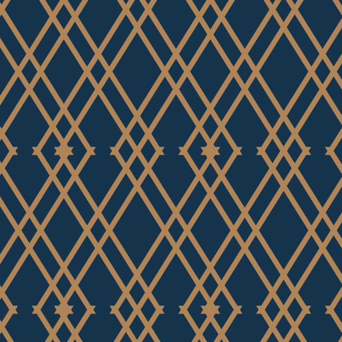 Transform any wall in your home to the roaring twenties with our Art Deco Trellis Peel And Stick Removable Wallpaper.