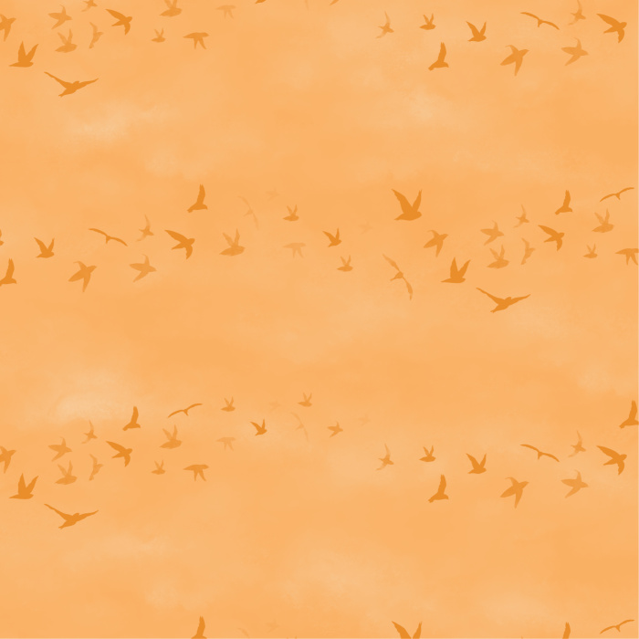 Our Breeze & Wings Peel and Stick Removable Wallpaper brings the soaring sky to any wall in your home.