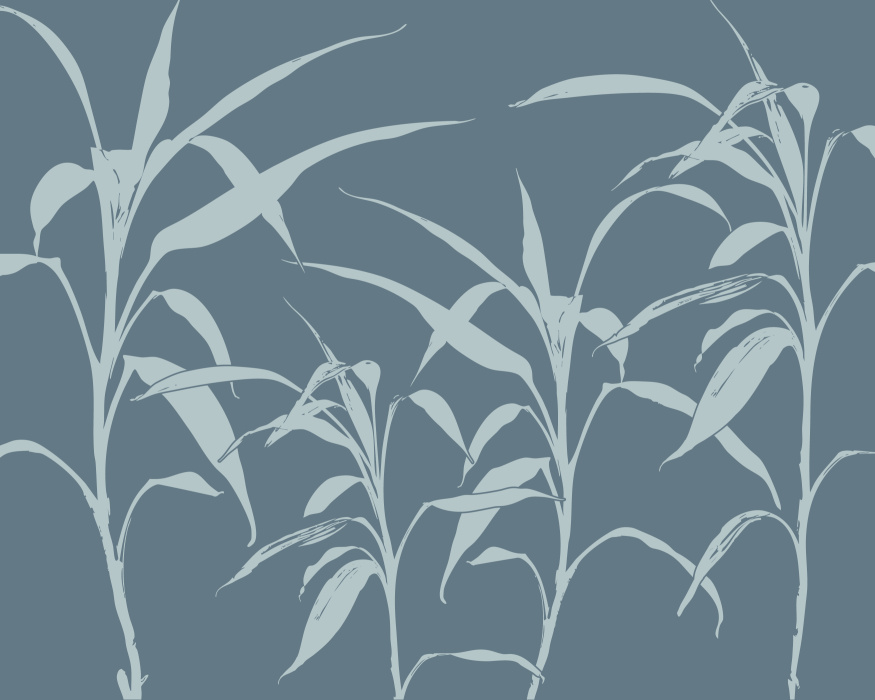 Add a striking, modern vibe with the natural elegance of our Bamboo Forest Peel & Stick Mural.