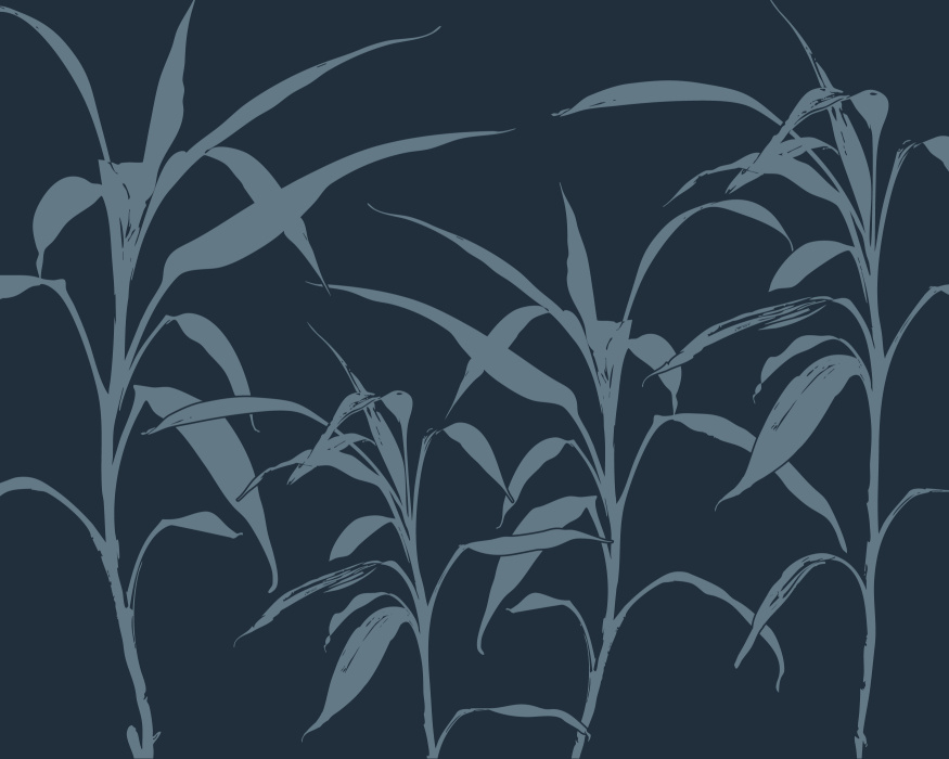 Add a striking, modern vibe with the natural elegance of our Bamboo Forest Peel & Stick Mural.