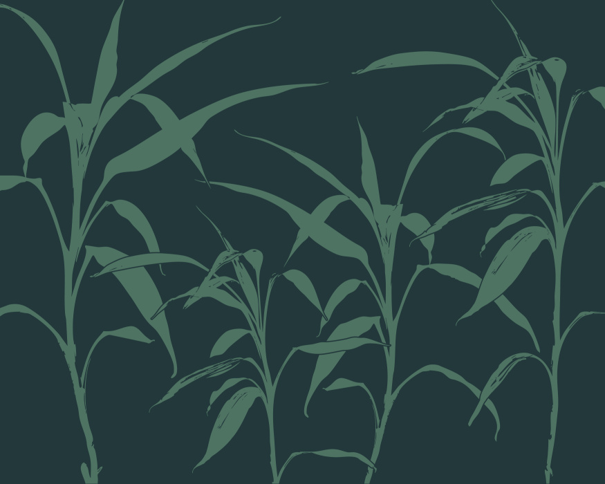 Add a striking, modern vibe with the natural elegance of our Bamboo Forest Peel & Stick Mural.